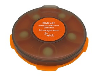 Imagen de 992682 BACuali Rango Alto S. aureus  CECT 9951