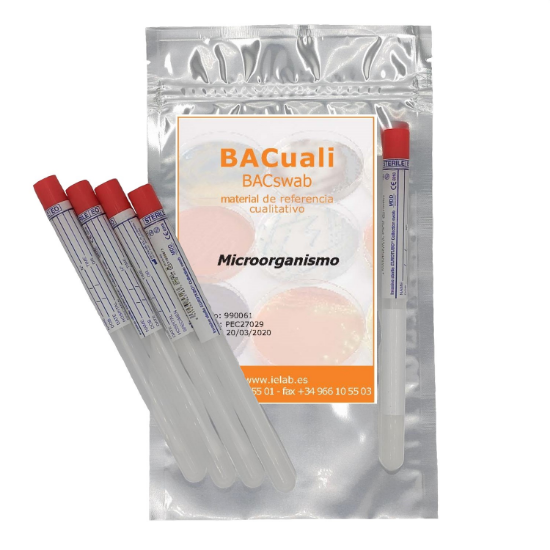 Imagen de 992814 BACswab E. coli CECT 516