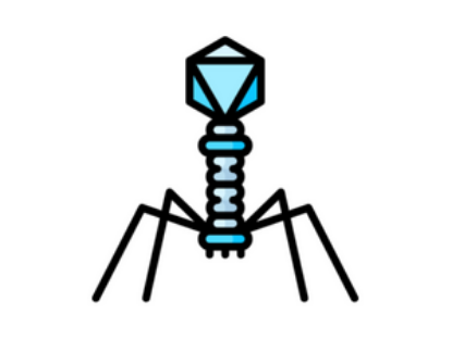 Imagen de 993019-BAControl-Fagos 100-500 Fago ɸX174 ATCC 13706-B1 (10 Unidades)